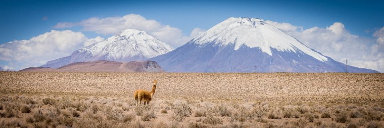 037 Lauca NP.jpg
